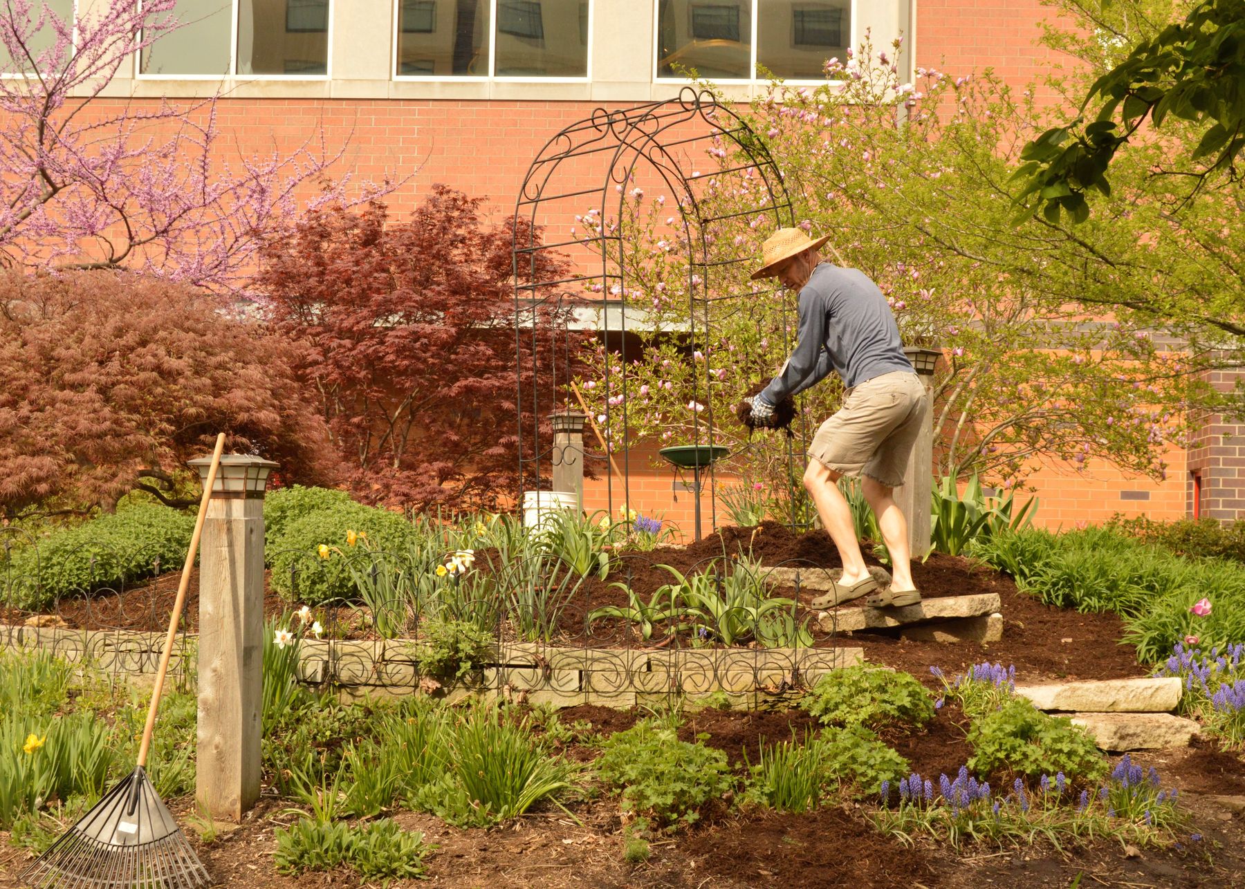 Hands-on work in a green community garden